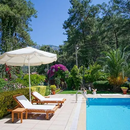 Dolphin Villa *