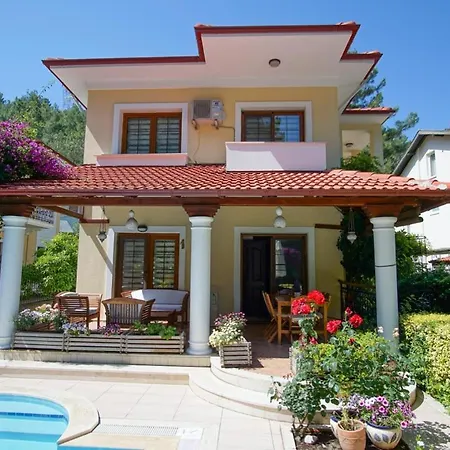 Dolphin Villa *