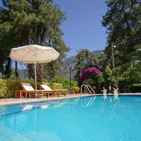 Dolphin Villa