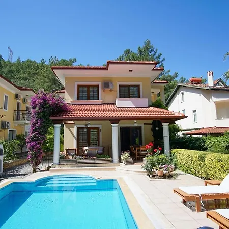 Dolphin Fethiye
