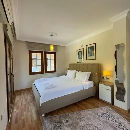 Dolphin Villa